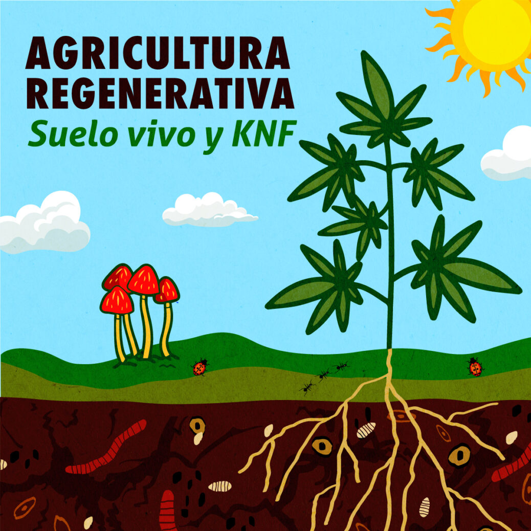 que es agricultura regenerativa